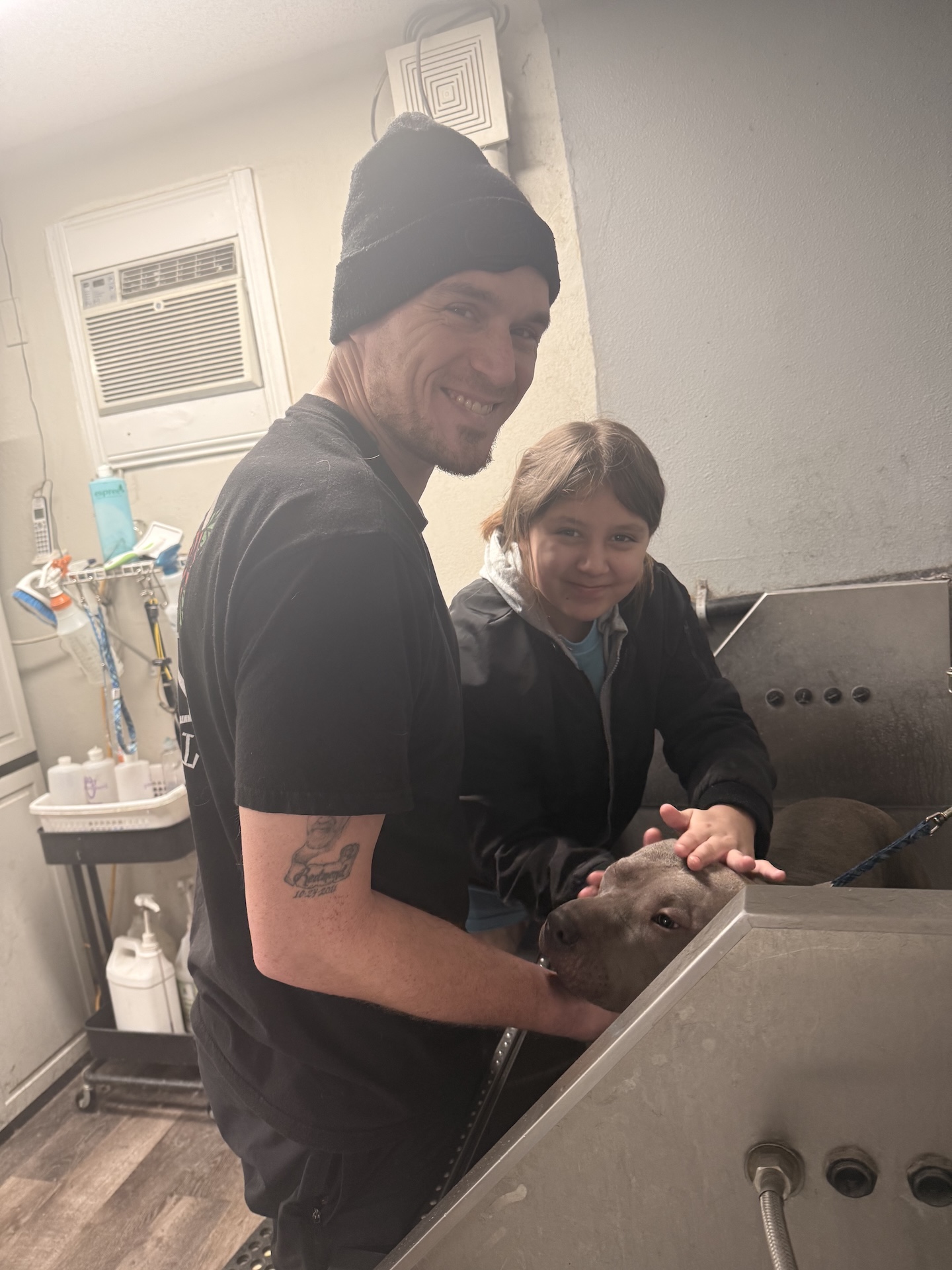  Full Dog Grooming